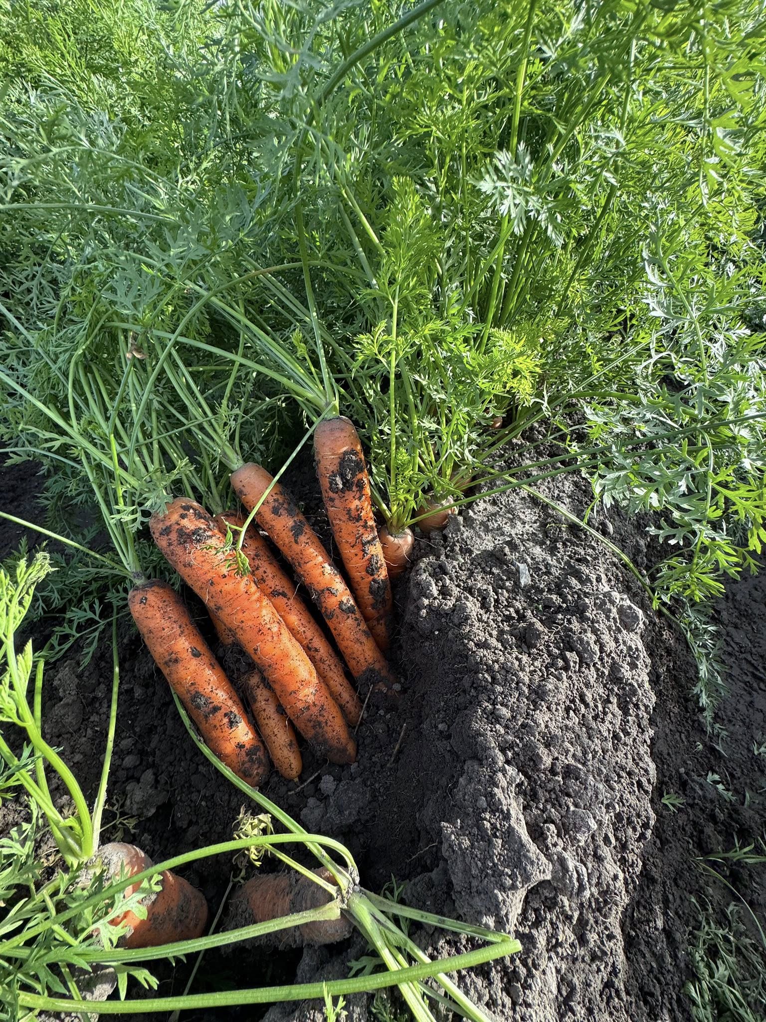 556089355 1377864937673050 6574112420591052474 n