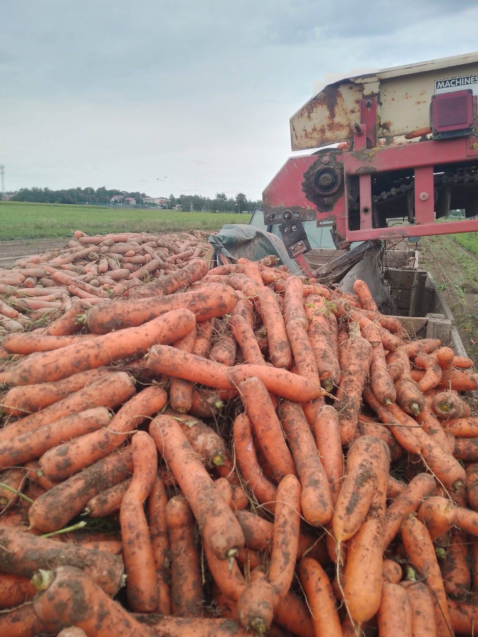 547731182 1364189769040567 5744843716725703750 N